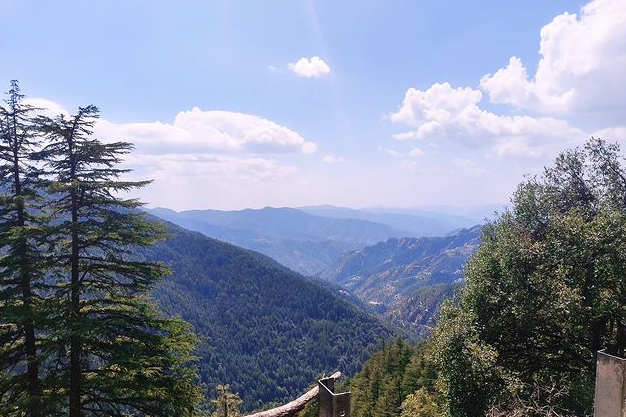 What is Theog famous