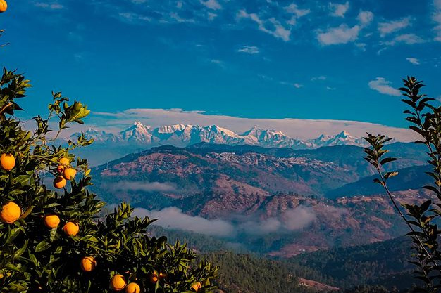 Why peora is so famous