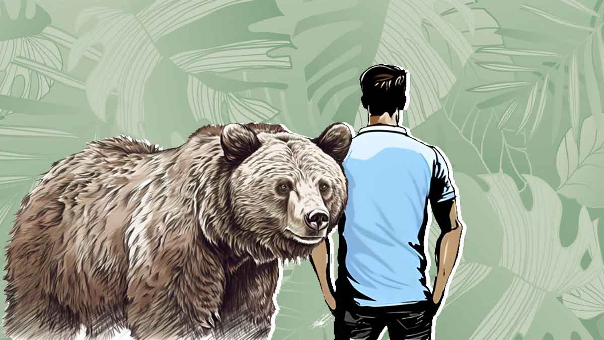 Understanding The Bear Vs Man Trend: Why Most Women Prefer Encountering ...