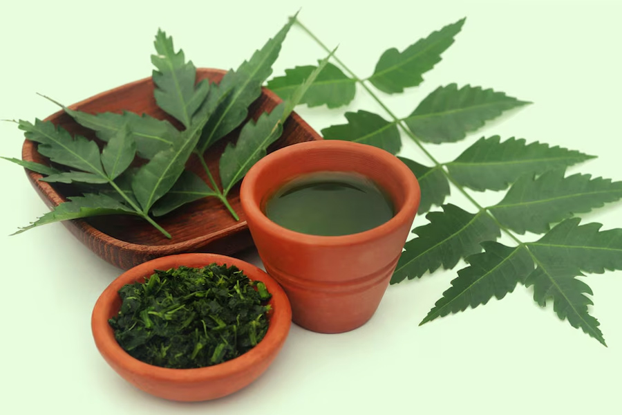 bottle cleaning tips with neem leaves
