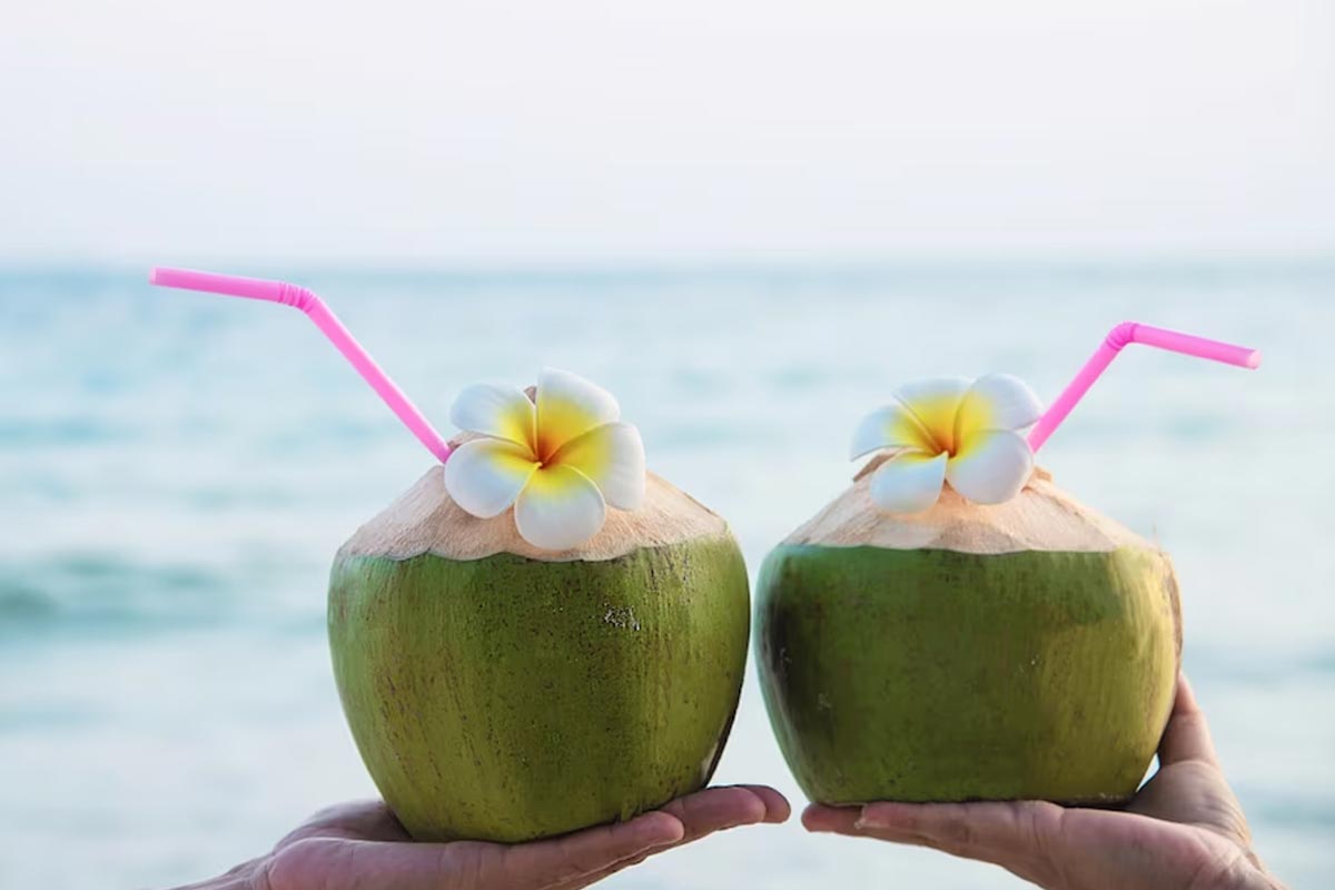 coconut water in summer