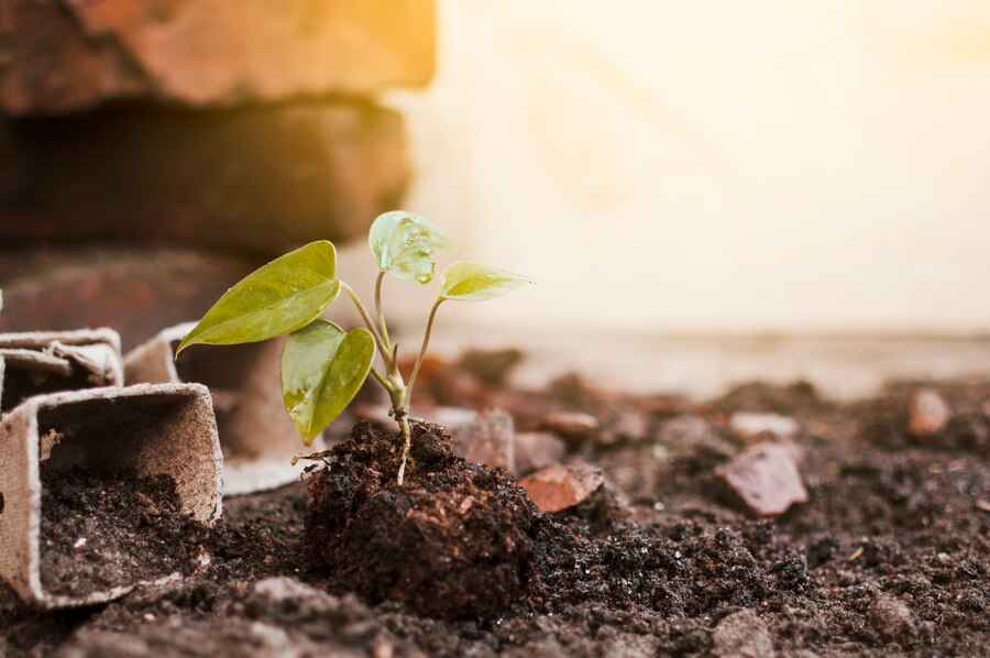 guru granth sahib quotes short