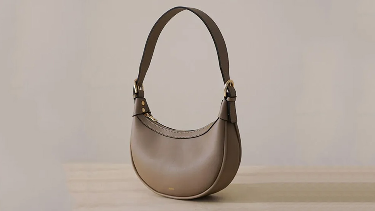 handbag cleaning tips in hindi