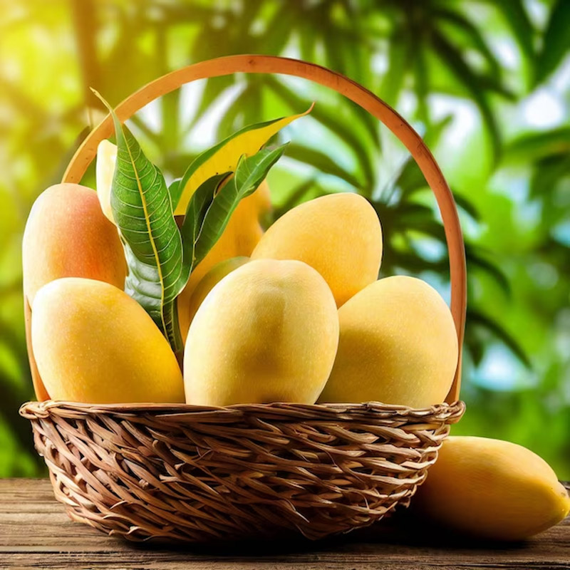how did mango varieties get their names