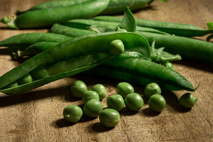 how to grow peas harvest