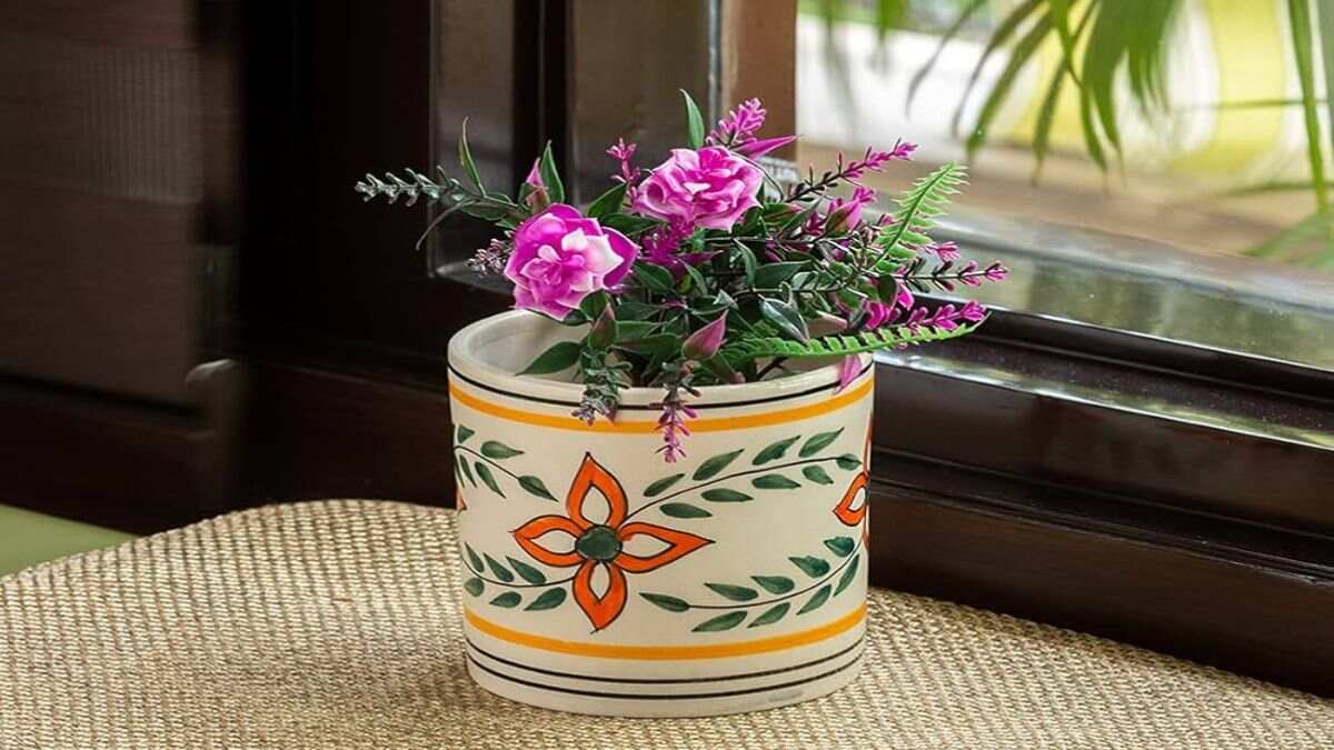 क्या पौधों के लिए चीनी मिट्टी का गमला है सही? | is ceramic pot good for ...