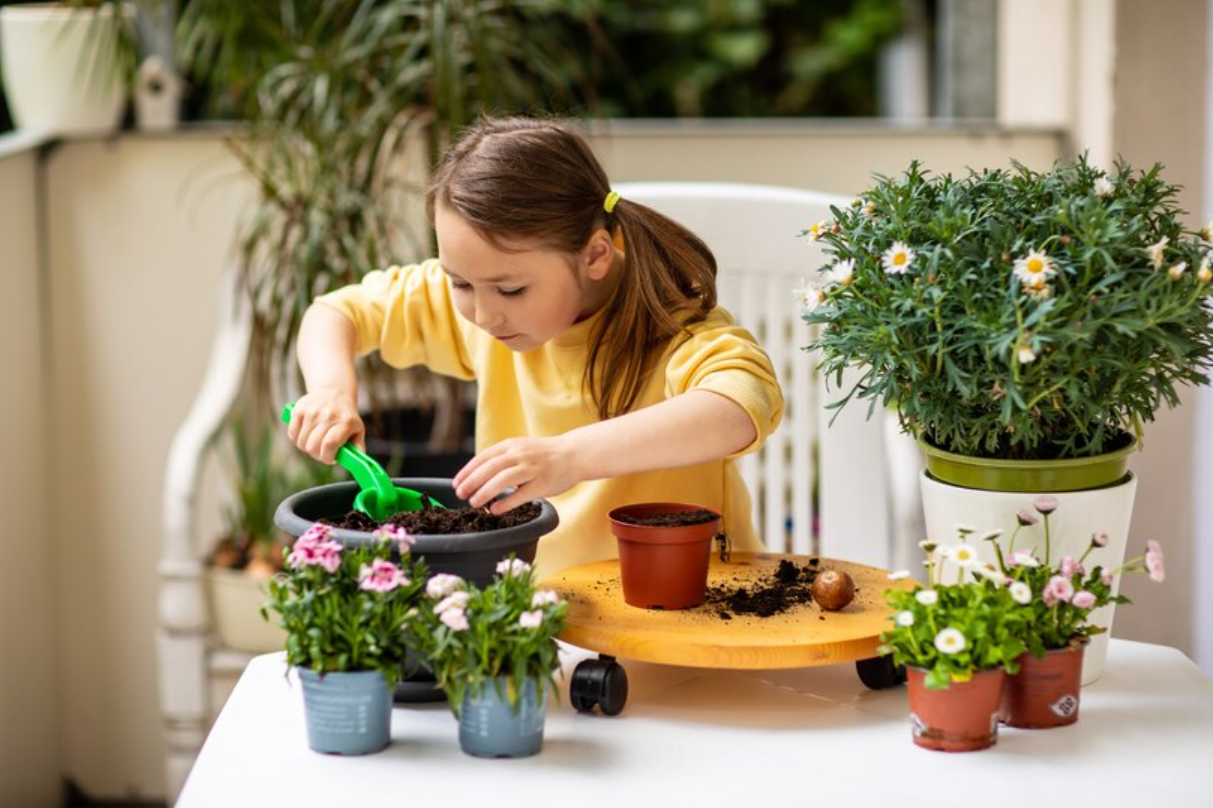 miniature garden at home