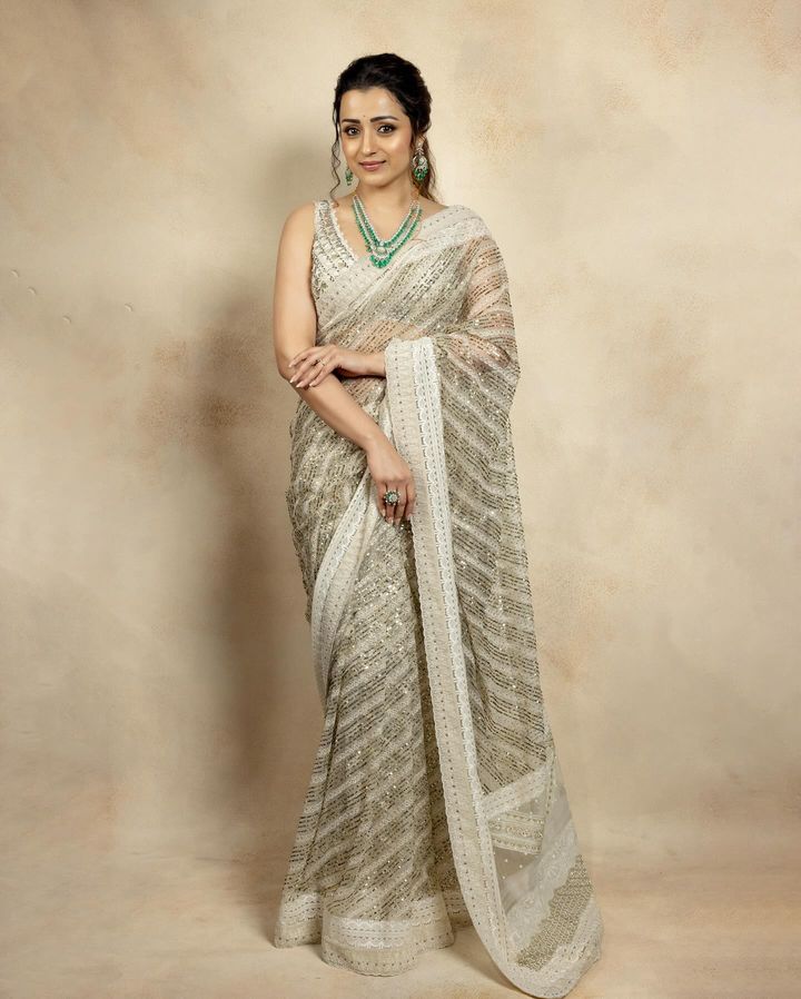 net saree looks