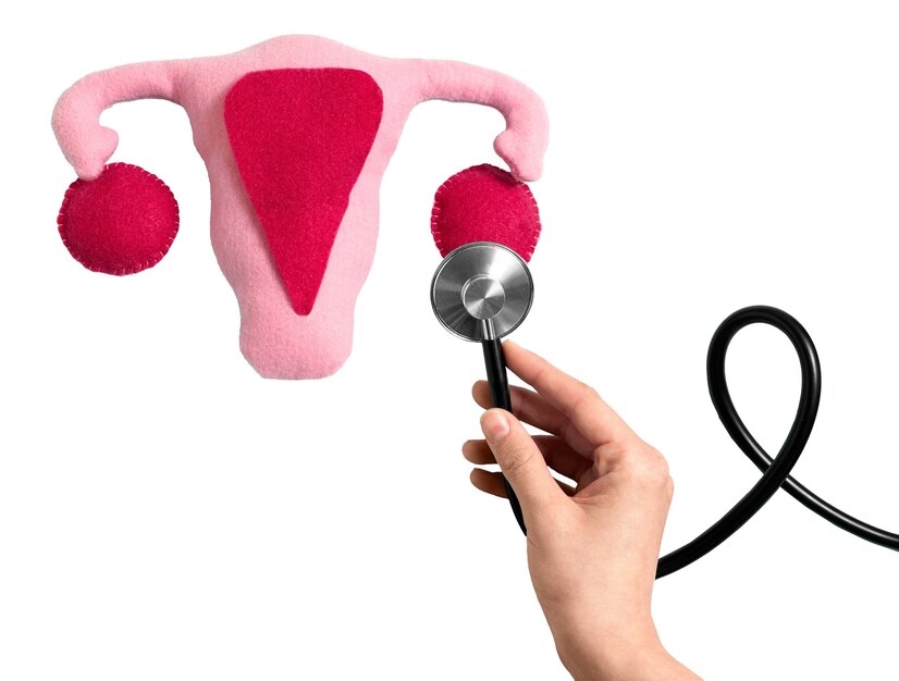 ovaries uterus shape 