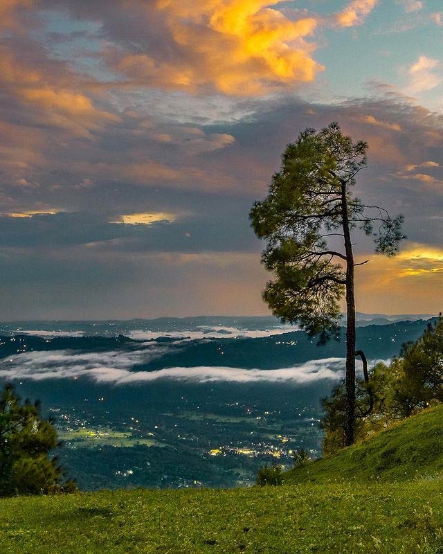 places to visit near chandigarh