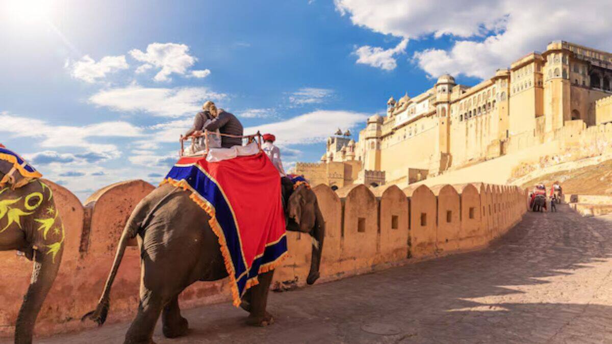 Trip Under 15000 For Family: परिवार के साथ बना रहे हैं राजस्थान जाने का  प्लान, तो इस तरह प्लान करें 15 हजार में ट्रिप | budget trip | how to plan  rajasthan trip under 15000 | HerZindagi