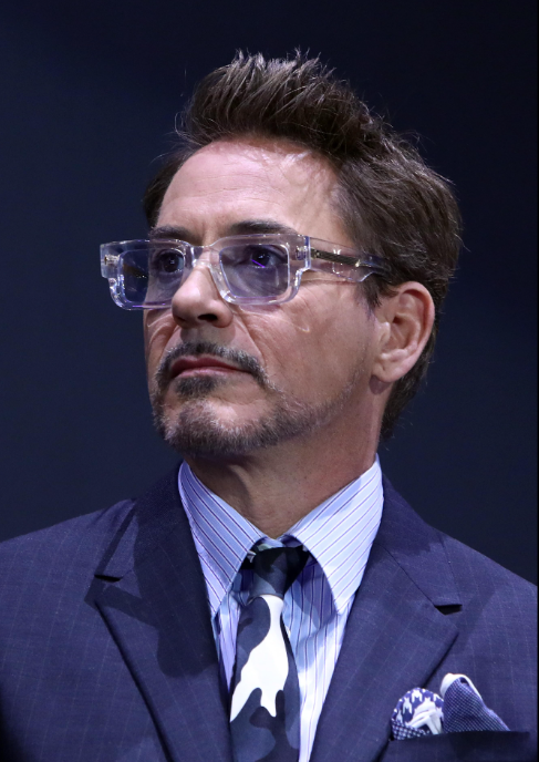 robert downey junior quotes on success