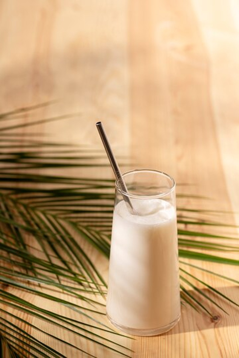 sattu coconut shake