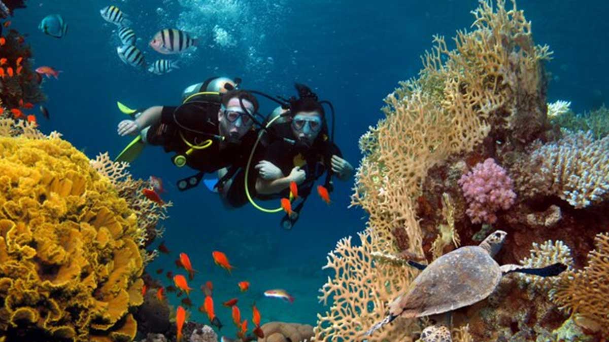 scuba diving enthusiasts