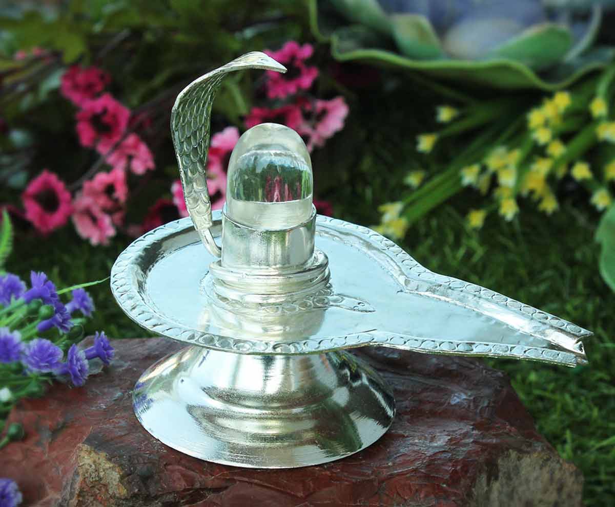 should we keep parad shivling at home
