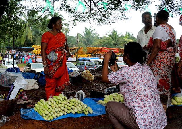 upcoming goa festivals cucumbers