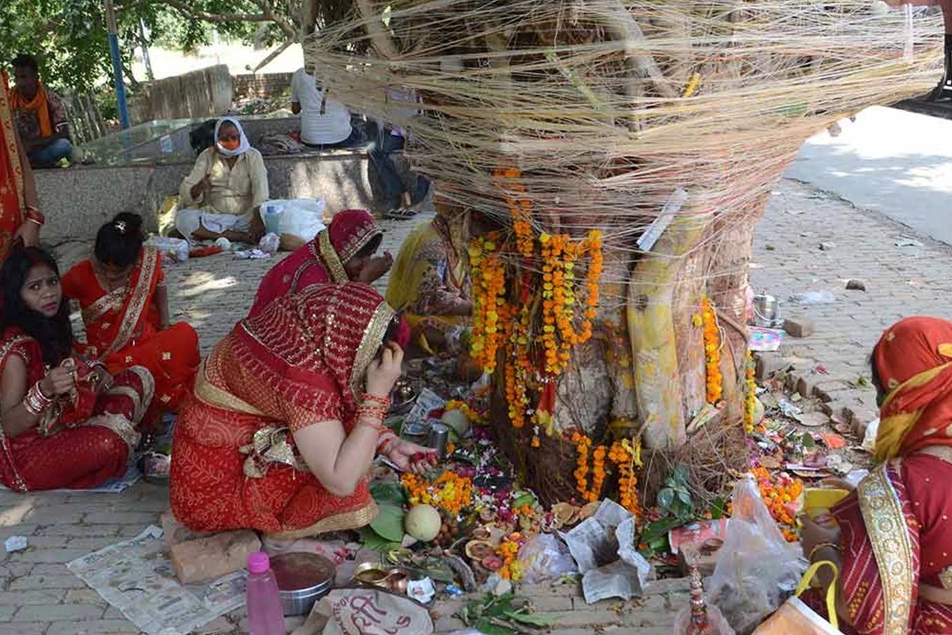 vat savitri vrat  dos and don'ts ()