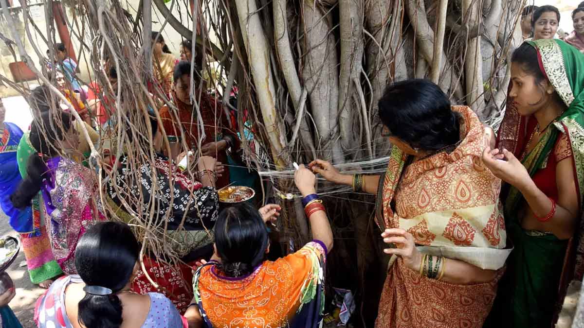 vat savitri vrat par bargad ke ped mein kya chadhana chahiye