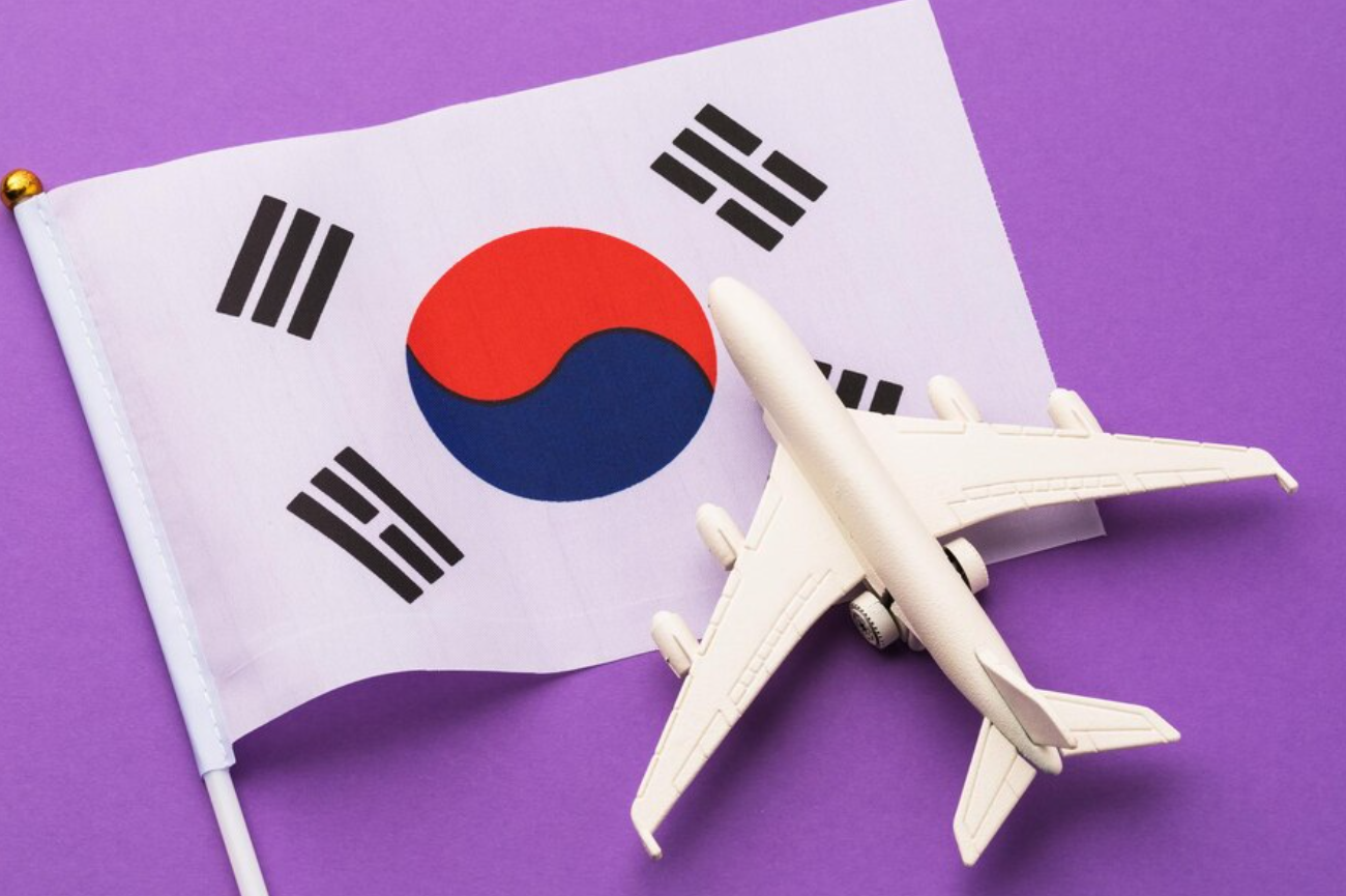 visa application for south korea