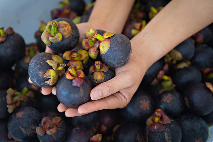 who is the queen of fruit