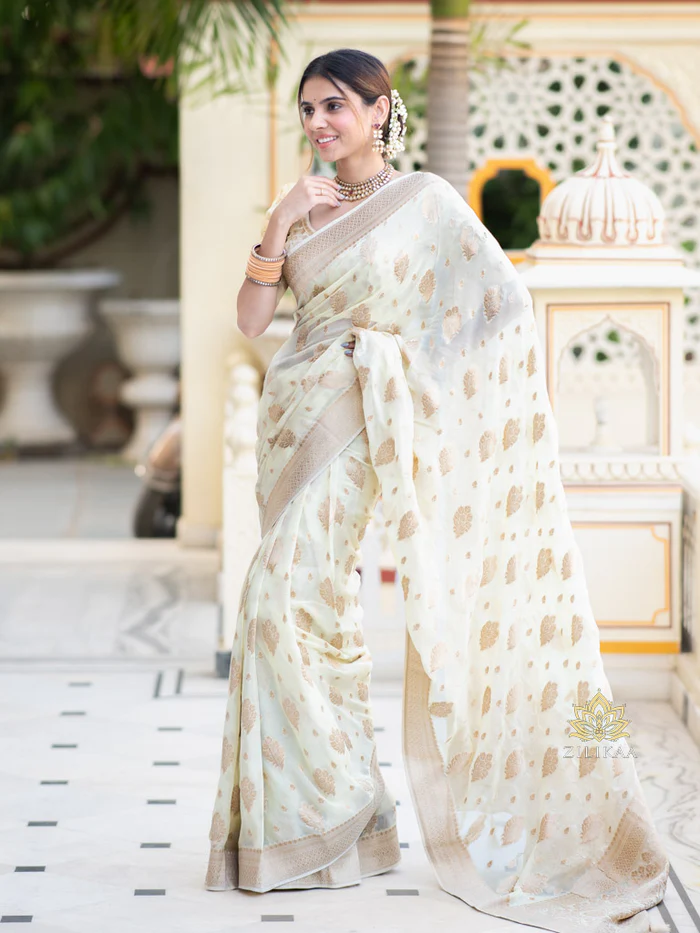 Banarasi Georgette Saree Design