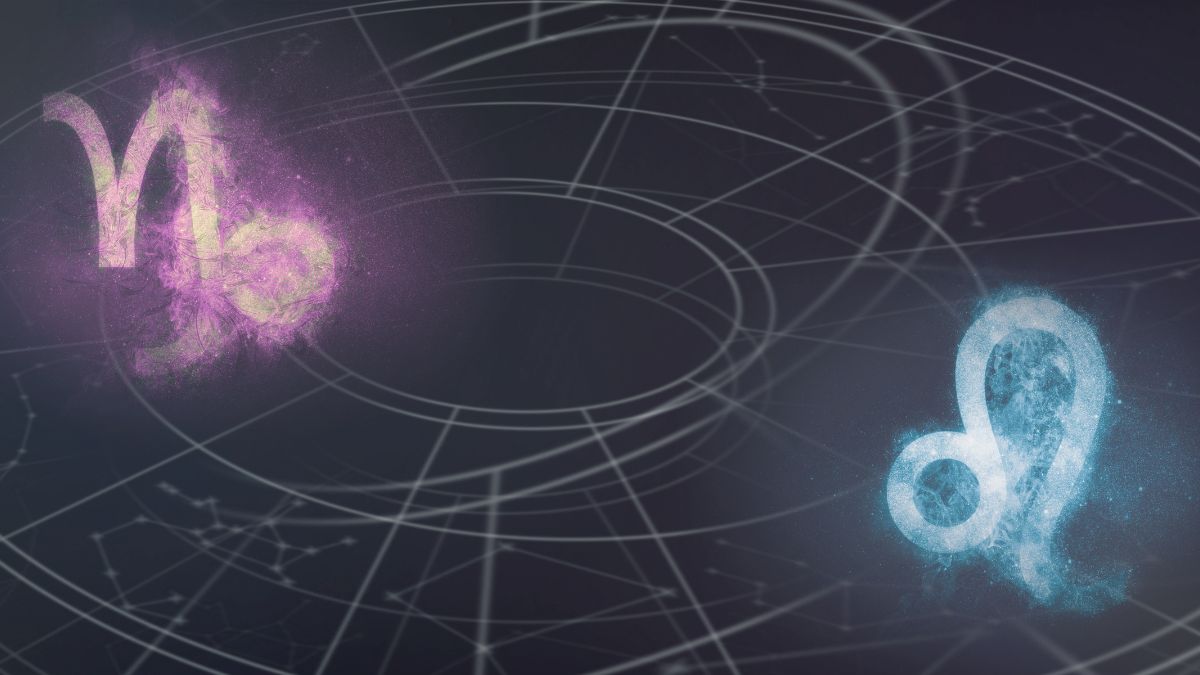 Capricorn Leo Compatibility As Partners