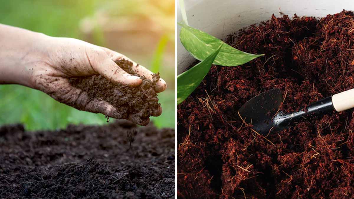 How to turn hard soil into soft soil