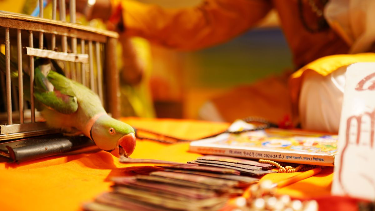 Lakhnawi Dastarkhwan Food Fest At Infinity, Crowne Plaza, Mayur Vihar My Experience