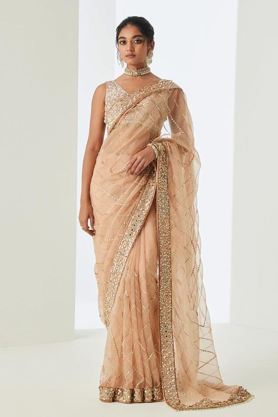Sheer Sequin Beige Colour Saree With Golden Border