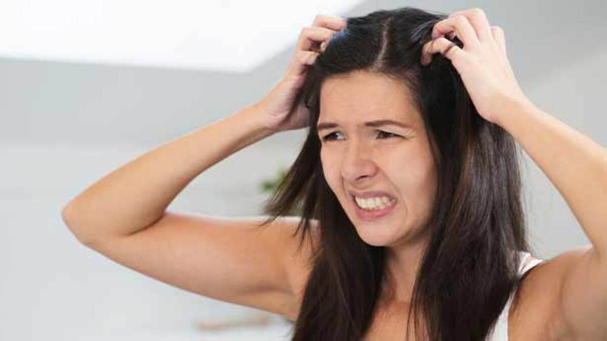 Home Remedies for Lice: தலையில் பேன் தொல்லையா? இதோ உங்களுக்காக சில வீட்டு வைத்தியங்கள்..!