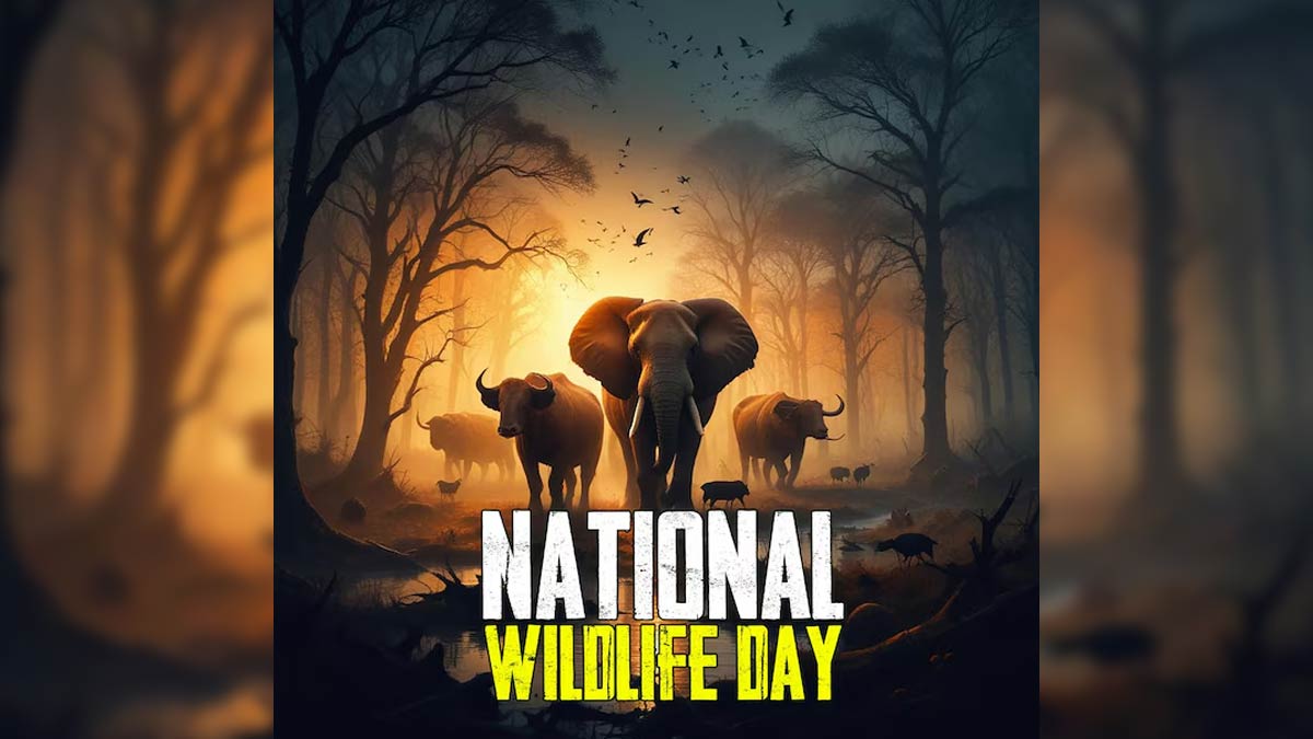 National Wildlife Day 2024: Slogans, Wishes, Quotes, Theme, And ...