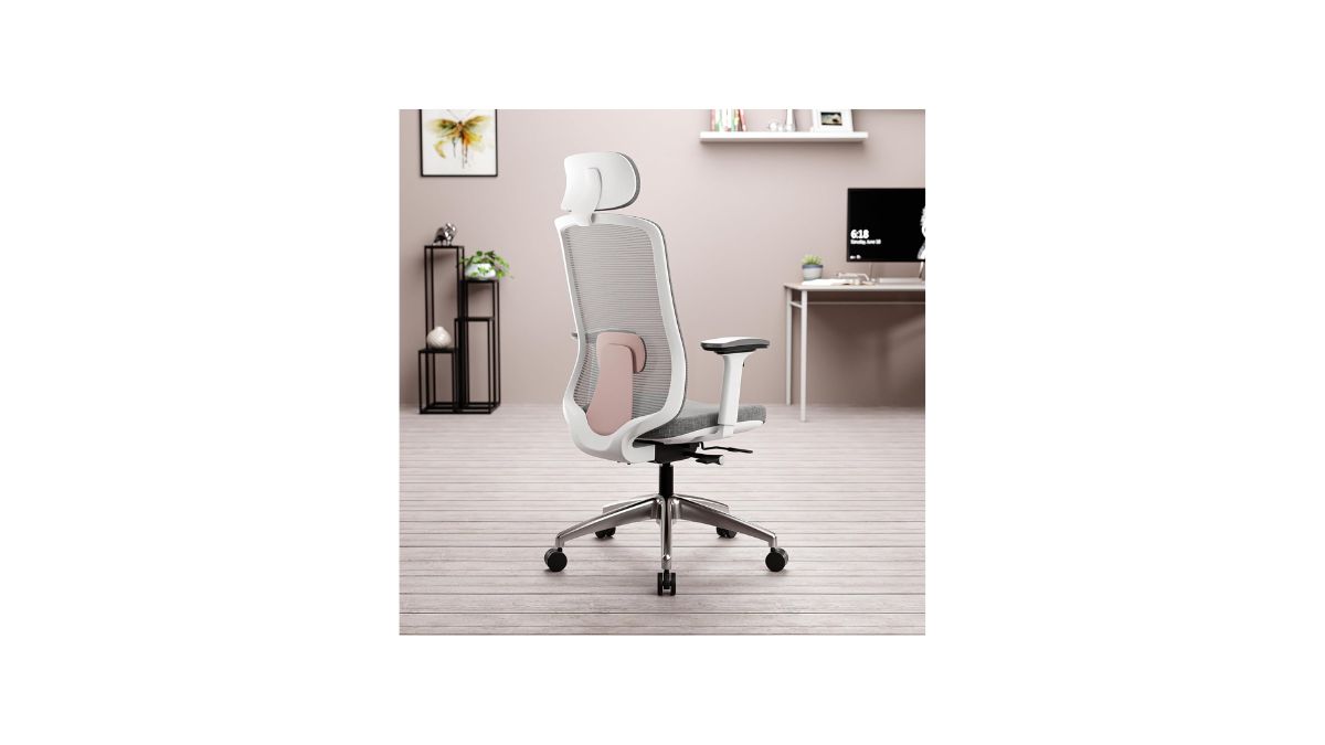 Best Office Chair Price (September 2024) For Prolong Working Hours