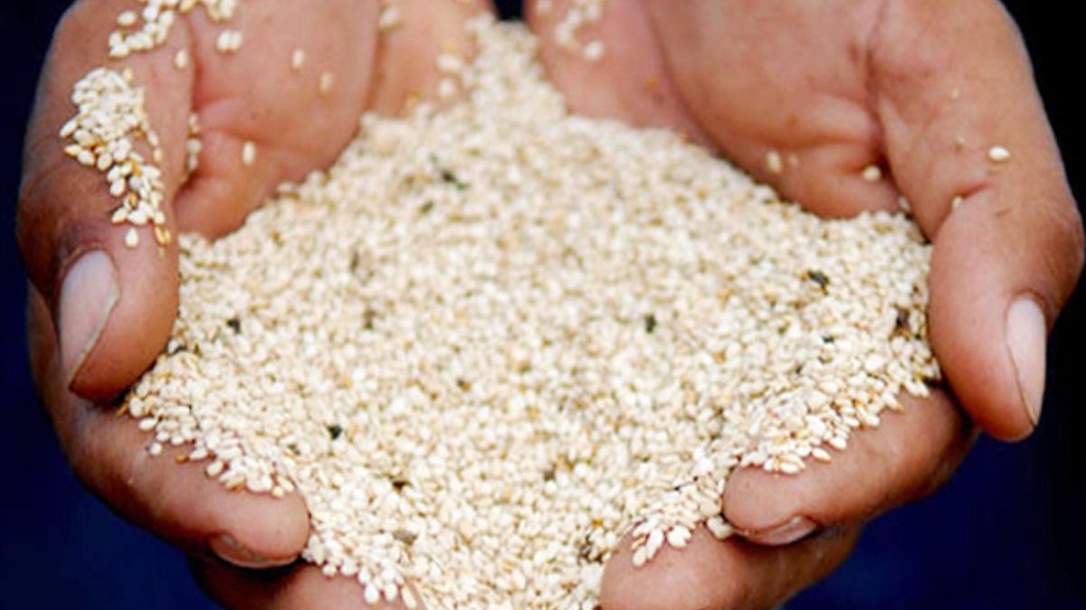 Pitru Paksha 2024 पितृपक्ष के दौरान तिल का दान करने से क्या होता है