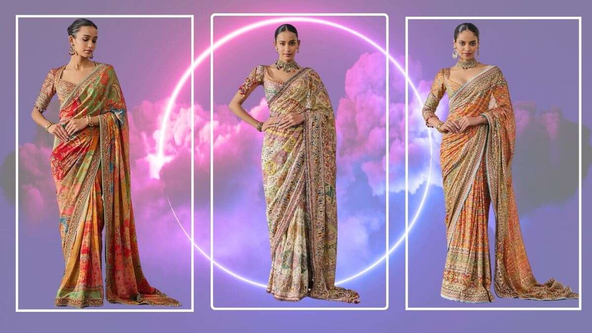 Saree For Ladies| Punjabi Saree Designs| Phulkari Saree designs ...