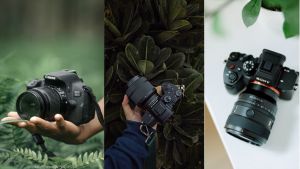 Top Camera Brands To Consider In 2025 For Capturing Stunning Shots 