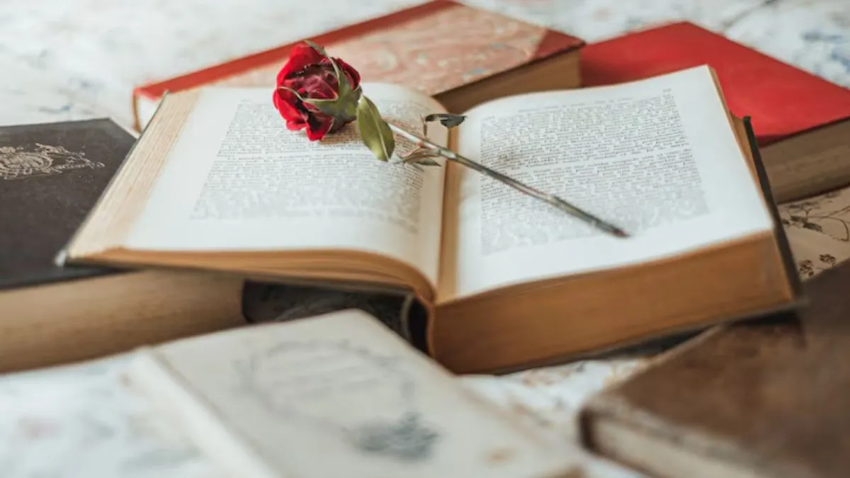  Best Books to Read If You Loved Bridgerton!
