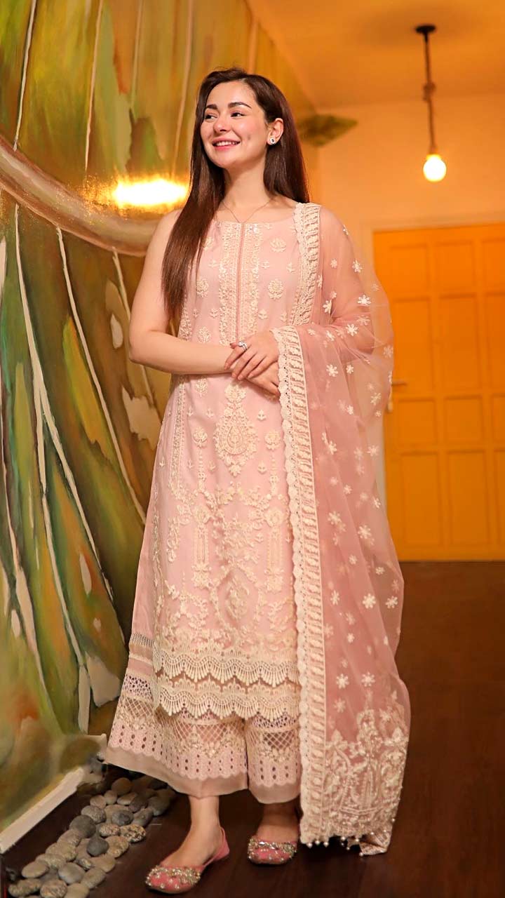 Respectful Senior Woman In White Salwar Kameez Poses In Delhi Park Photo  Background And Picture For Free Download - Pngtree