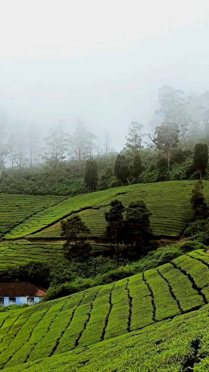 தேனி மேகமலையை சுற்றி பார்க்க எத்தனை நாள் தேவைப்படும் தெரியுமா?