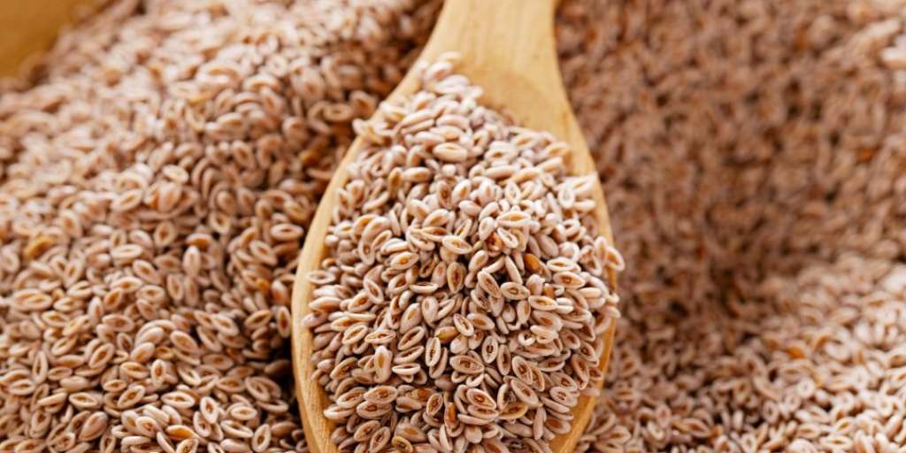 5 Amazing Benefits Of Carom Seeds For Hair