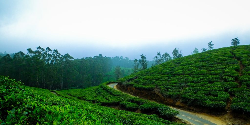 Hill Stations | Hill Stations In Tamil Nadu | HerZindagi