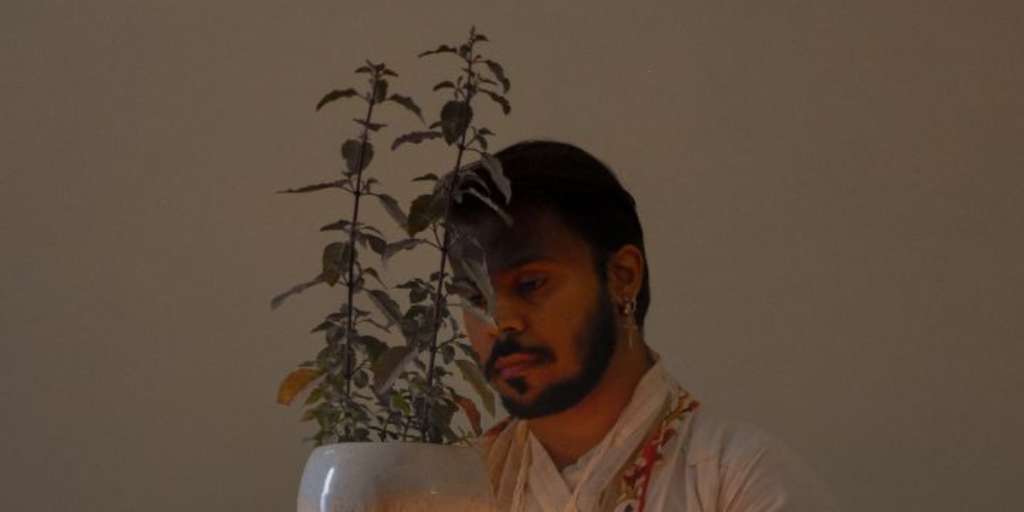 How To Take Care Of Tulsi In Winter How To Take Care of Tulsi Plant In Winter: Easy Tips and Tricks
