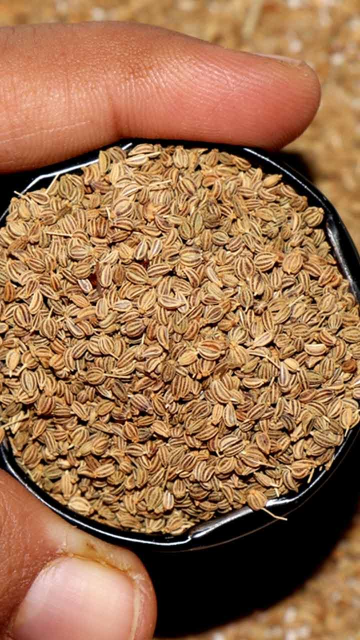 Ajwain Hair Oil Recipe  Benefits For Hair  Carom Seeds For Hair  Hair  Growth Oil  Hair Fall Oil  Dandruff Oil  HerZindagi