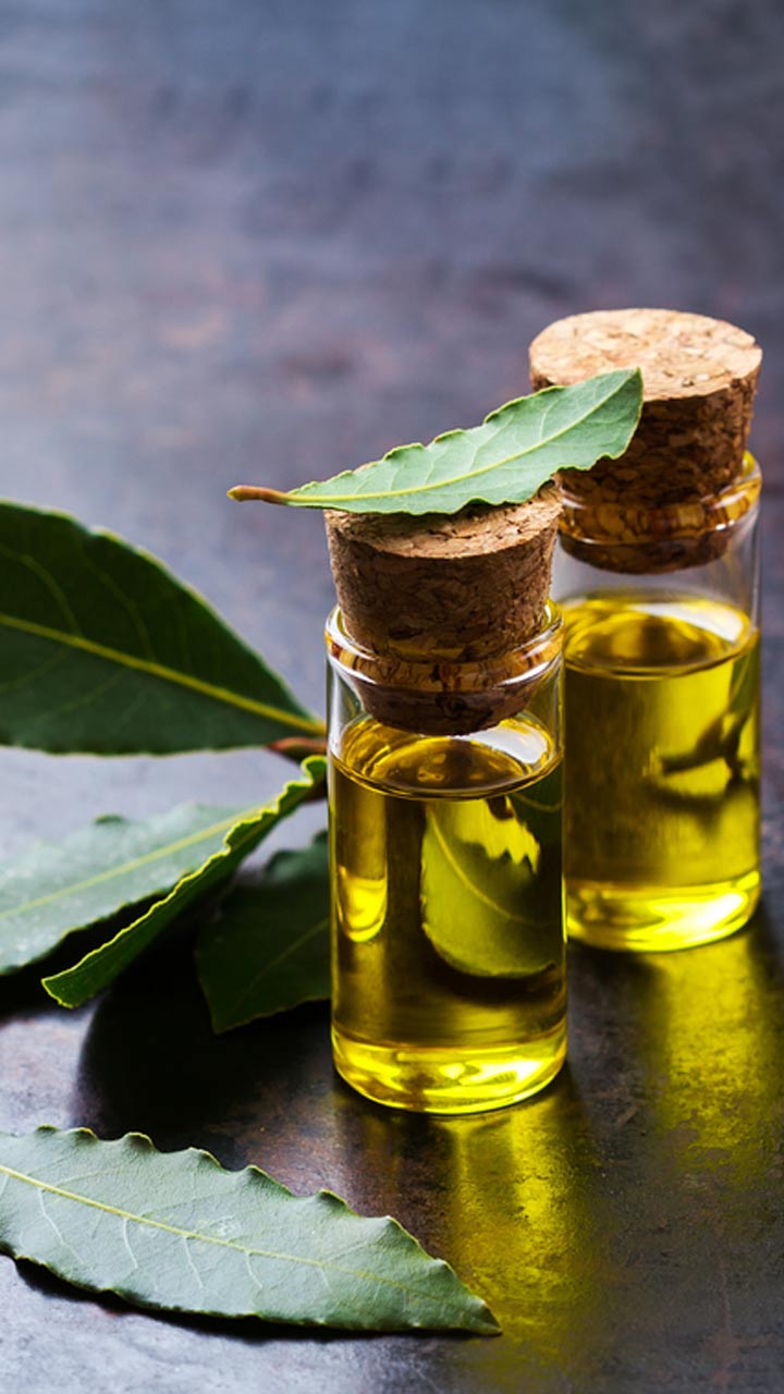 BAY LEAF FOR HAIR GROWTH AND DANDRUFF - The Natural DIY