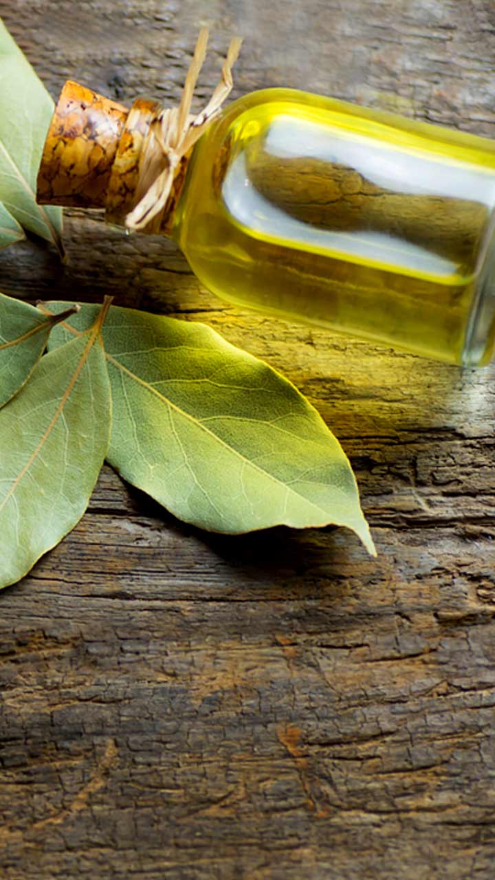 15 Burn Bay Leaf Benefits For Health Skin and Hair Uses Trabeauli  Bay  leaf benefits Burning bay leaves Healthy drinks recipes