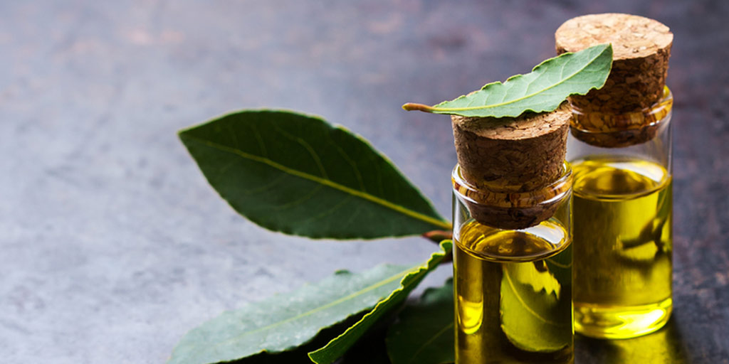 How To Use Bay Leaves On Hair at Anita Fulk blog