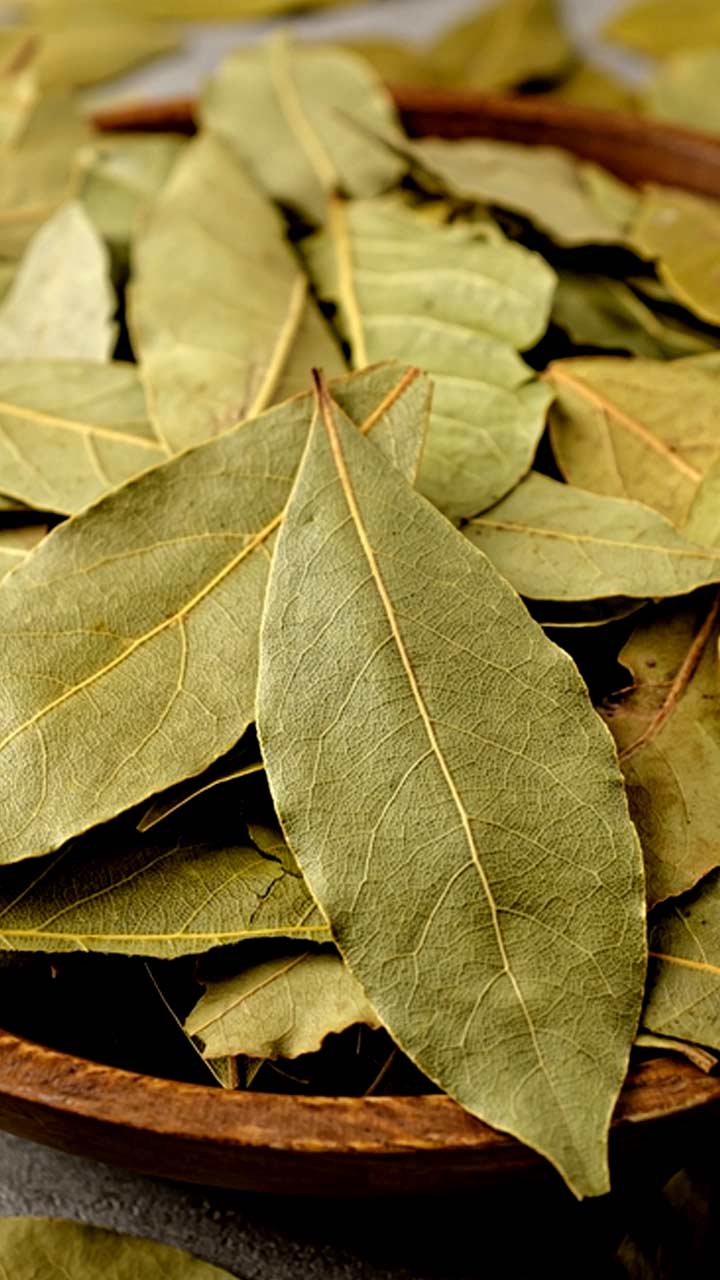 Bay leaf tea to boost immune function. - Naturopathy - Health Vision