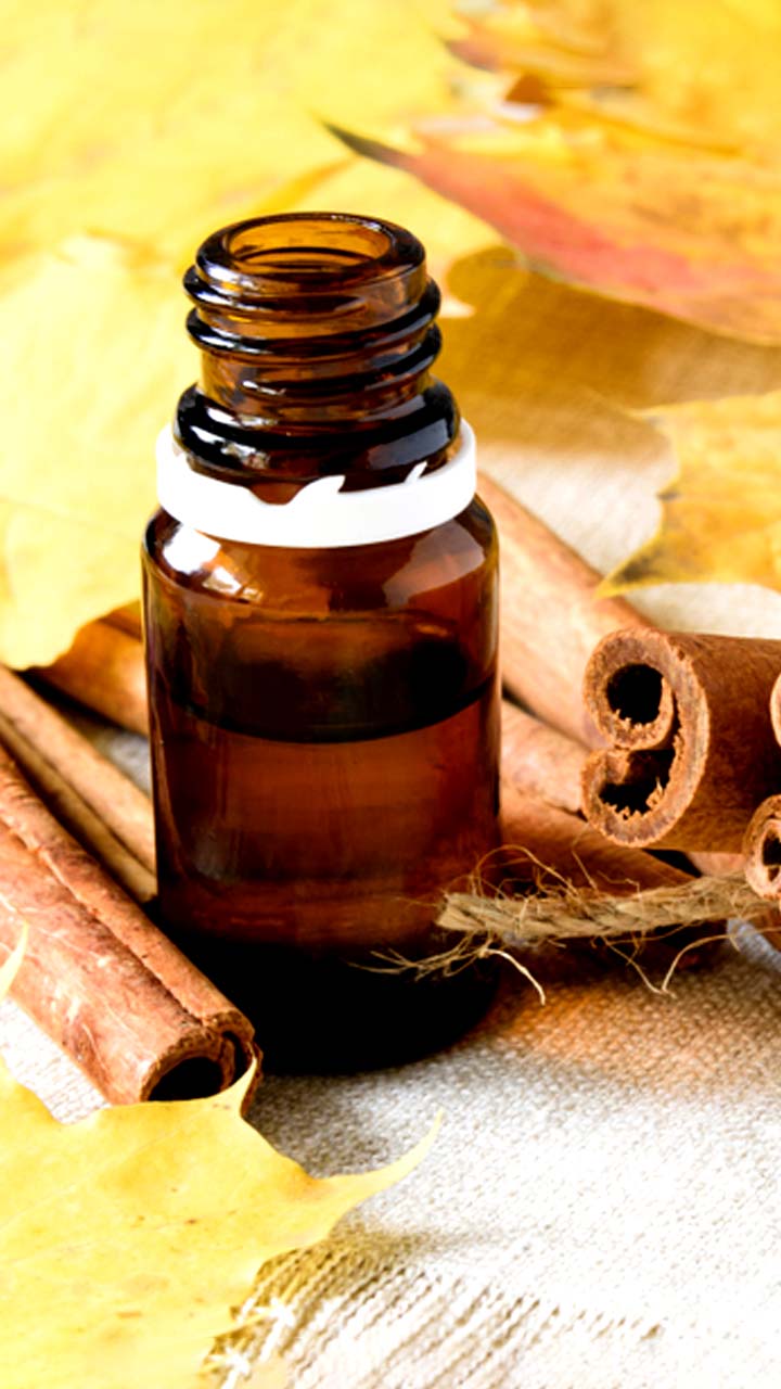 Cinnamon Oil For Hair | Dalchini Hair Oil Benefits | Recipe | Hair Oil For  Hair Growth | Damaged Hair | Head Lice | HerZindagi