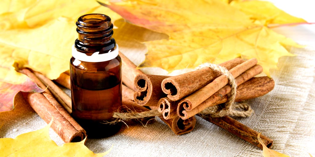 7. Cinnamon and Olive Oil for Nourishing Blonde Hair - wide 8