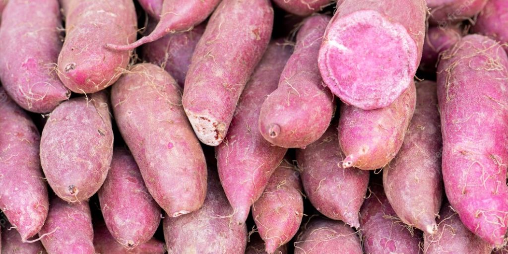 உடல் எடையை குறைப்பது முதல் பல நன்மைகளை வழங்கும் சர்க்கரைவள்ளி கிழங்கு