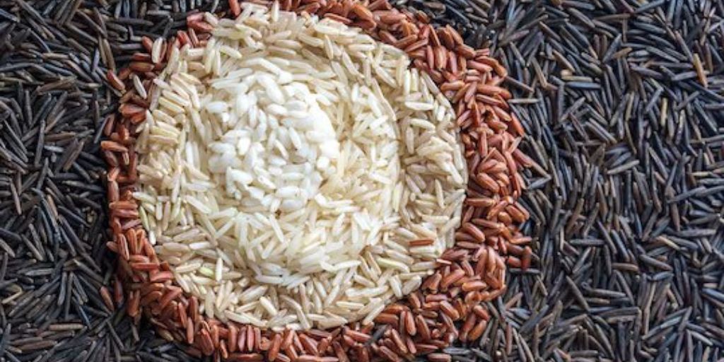 உடல் எடையை குறைக்க உதவும் பிரவுன் ரைஸ் பற்றி அறிவீரா?